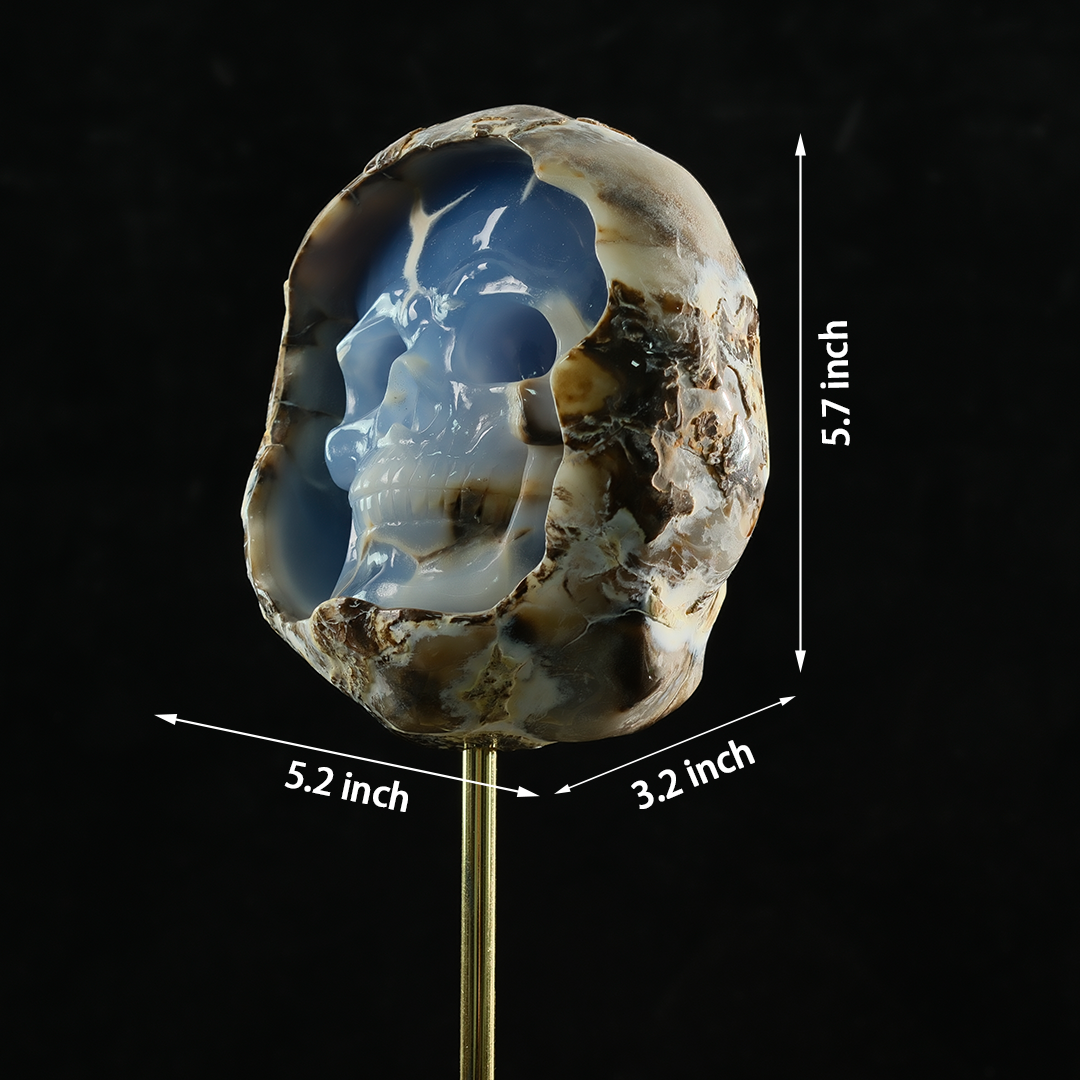 Blue Chalcedony Cave Carving Skull in Raw Crust — view 2