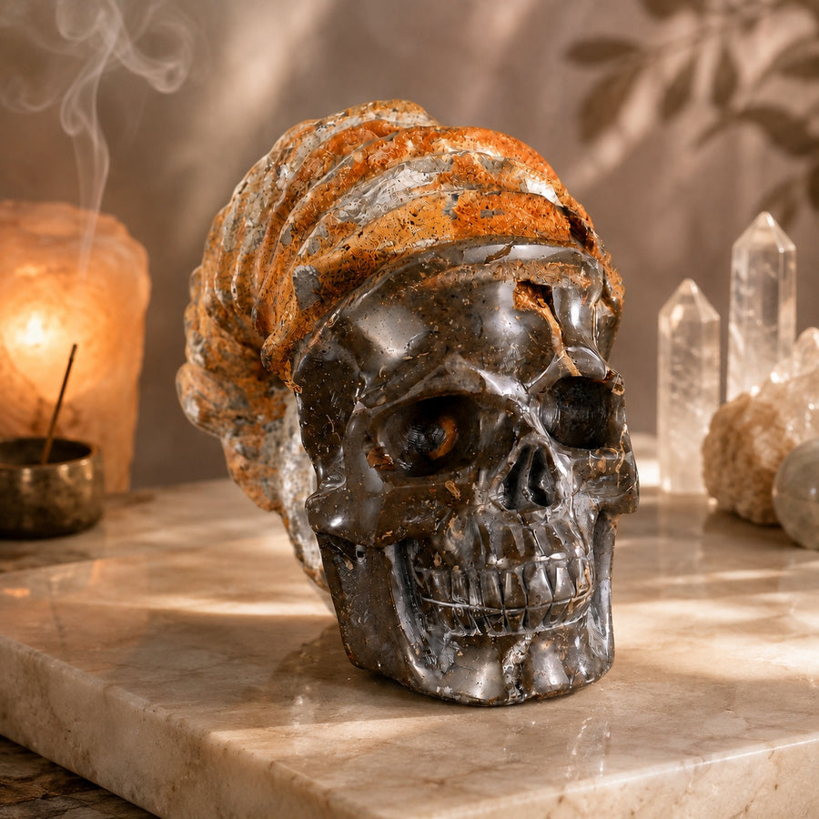 Crâne fossilisé en spirale d'escargot