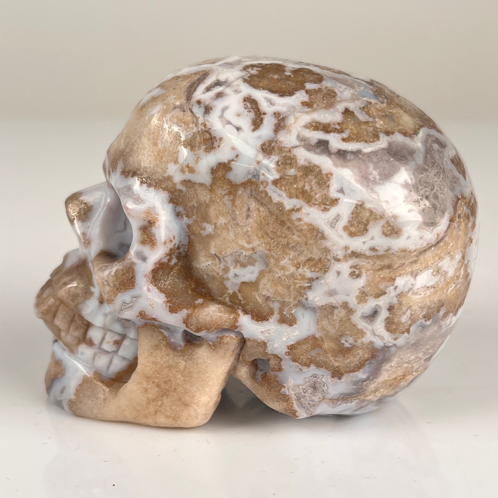 3 Inch Blue Flower Agate Crystal Skull — view 5