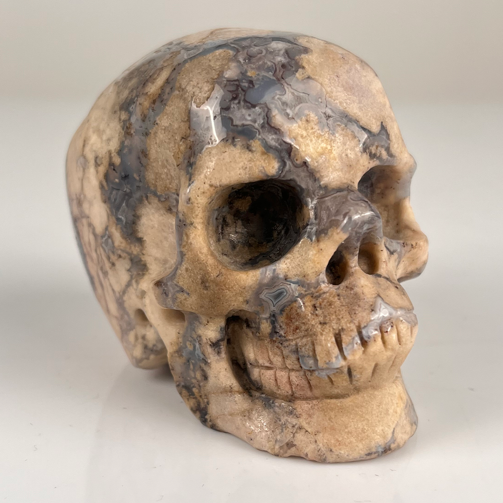 3 Inch Blue Flower Agate Crystal Skull — view 2