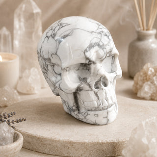 Crâne de Howlite de 3 pouces