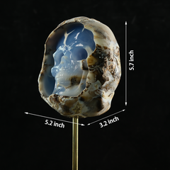 Blue Chalcedony Cave Carving Skull in Raw Crust — view 2