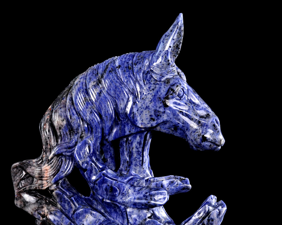Sodalite Horse Head & Tree Stump