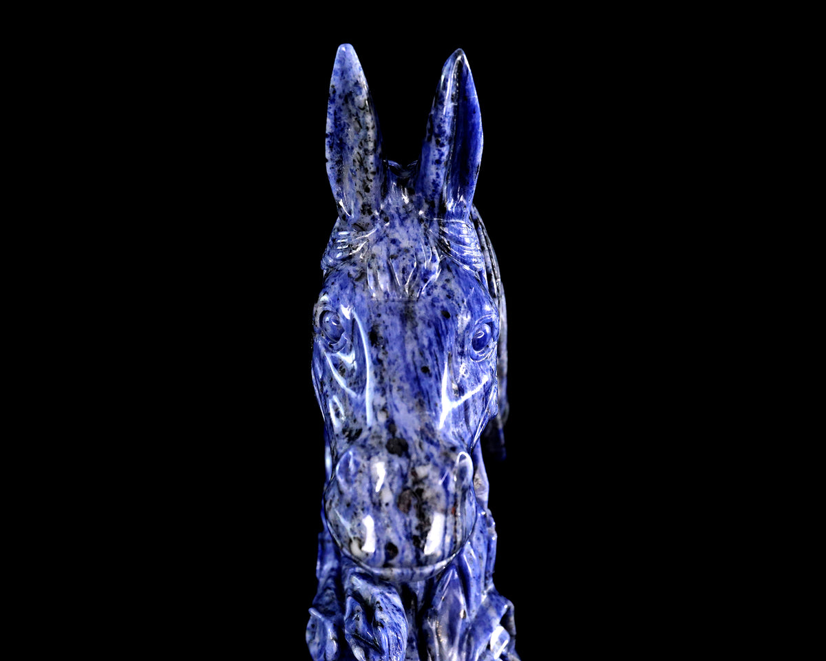 Sodalite Horse Head & Tree Stump