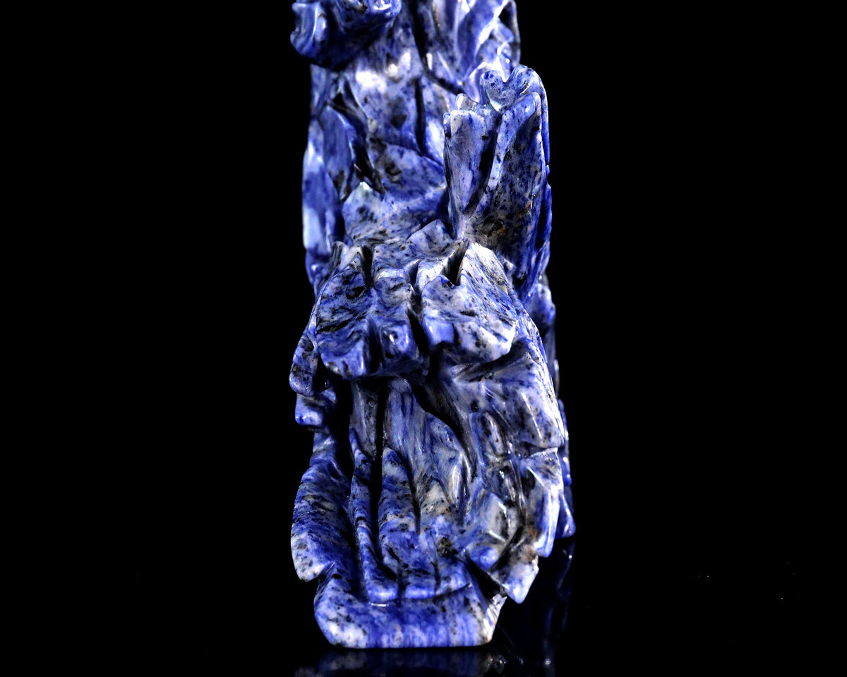 Sodalite Horse Head & Tree Stump