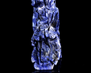 Sodalite Horse Head & Tree Stump
