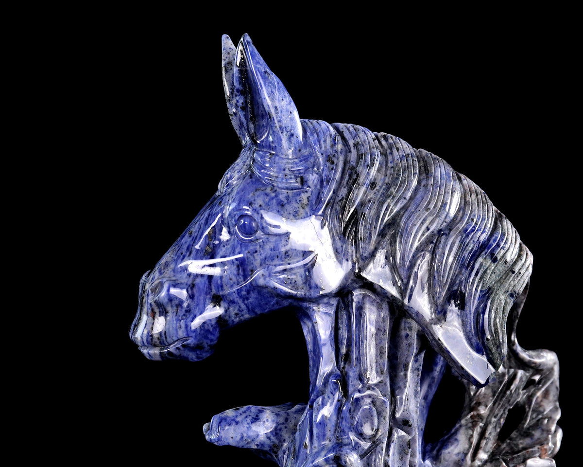Sodalite Horse Head & Tree Stump