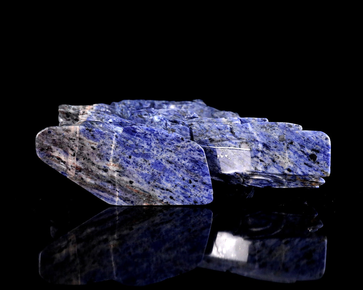 Sodalite Horse Head & Tree Stump