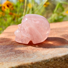 3 Inch Rose Quartz Crystal Skull – Healing Gemstone — view 4