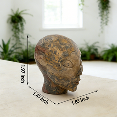 2 Inch Leopard Skin Jasper Alien Crystal Skull – Skull — view 2