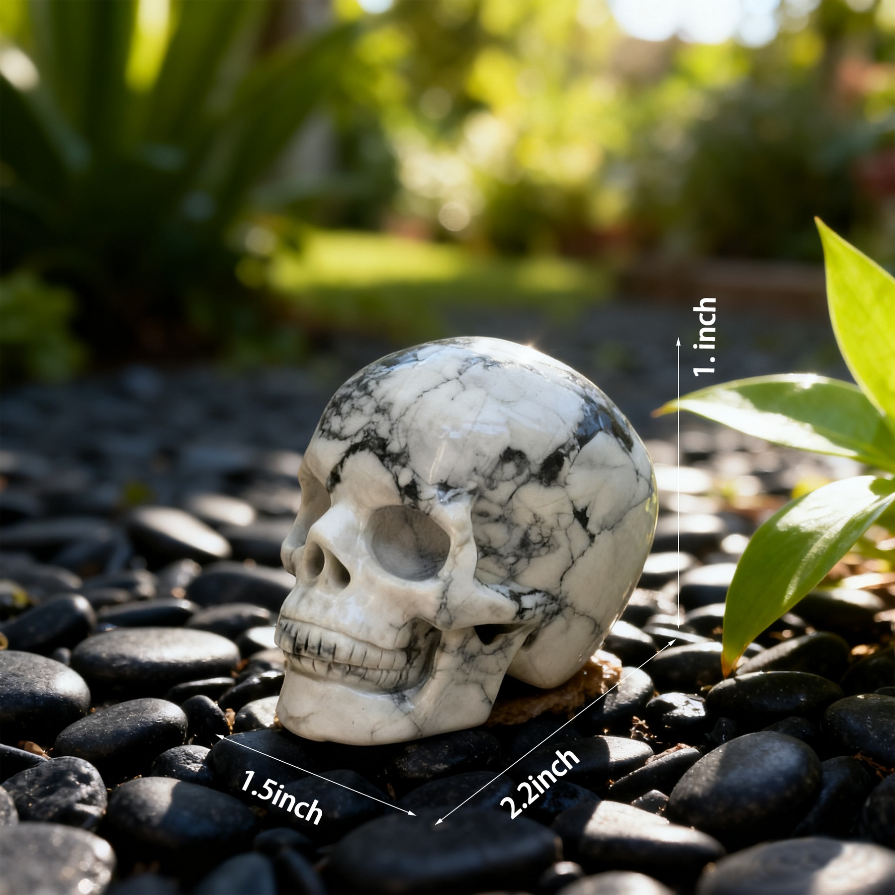 2 Inch White Howlite Turquoise Crystal Skull – Skull — view 2