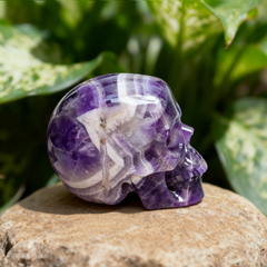 4.5 Inch Dream Amethyst Crystal Skull — view 4
