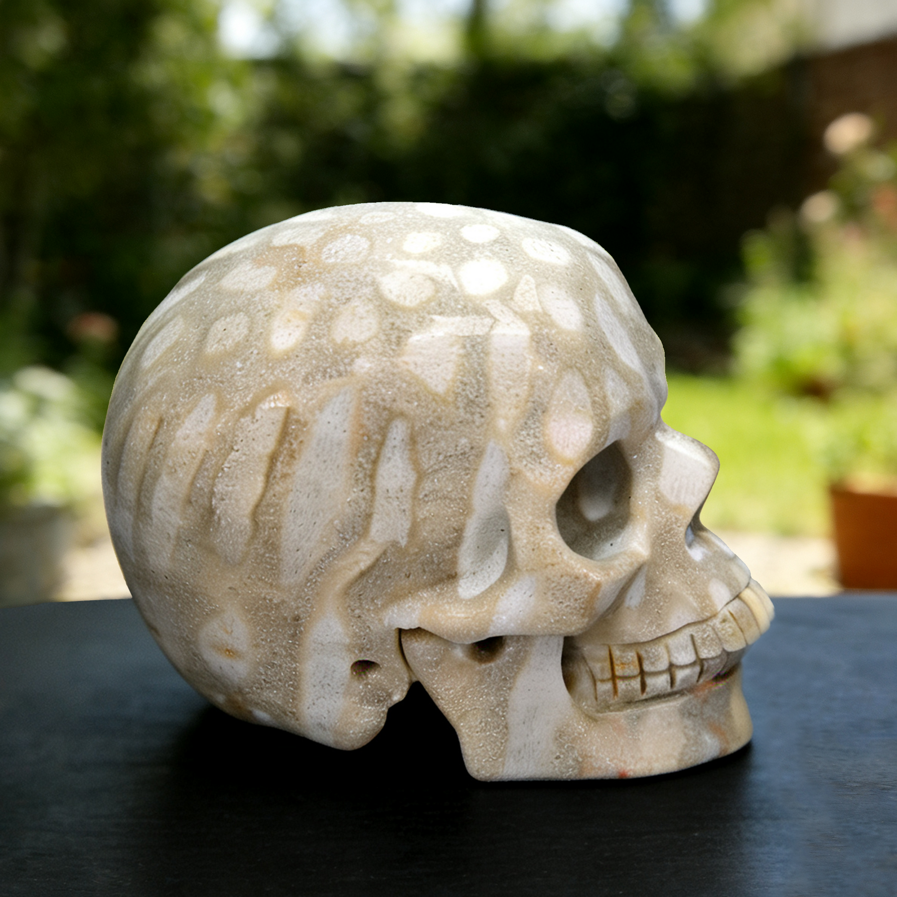 3 Inch Coral Fossil Crystal Skull — view 4