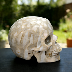 3 Inch Coral Fossil Crystal Skull — view 4
