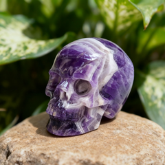 4.5 Inch Dream Amethyst Crystal Skull — view 7