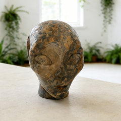 2 Inch Leopard Skin Jasper Alien Crystal Skull – Skull — view 8