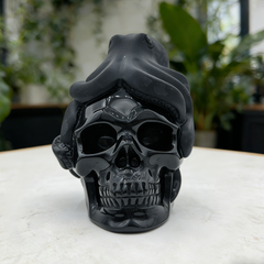 Black Obsidian Skull with Octopus Sculpture-Unique — view 7