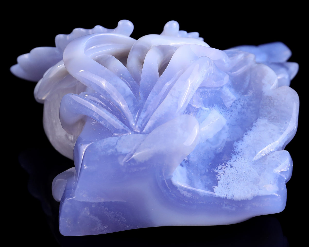 Blue Lace Agate Butterfly
