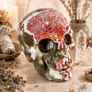 3-inch Red Crazy Lace Agate Skull