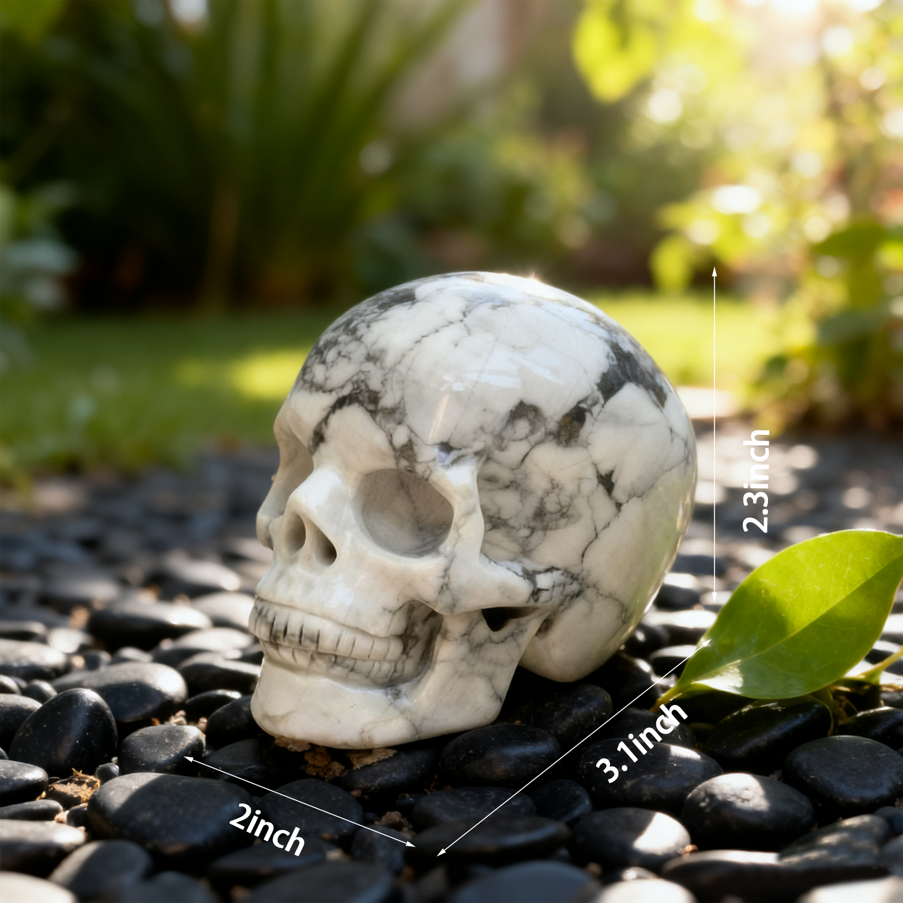 3 Inch White Howlite Turquoise Crystal Skull – Gemstone — view 2