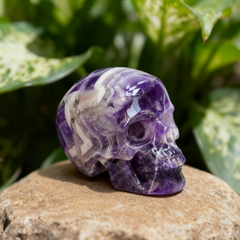 4.5 Inch Dream Amethyst Crystal Skull — view 6
