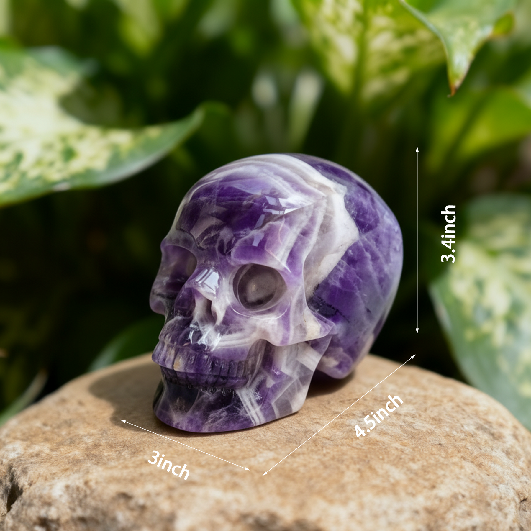 4.5 Inch Dream Amethyst Crystal Skull — view 2