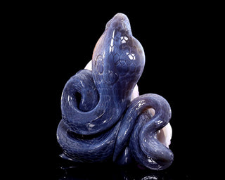 Amethyst Serpent Heart Geode