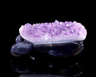 Amethyst Serpent Heart Geode