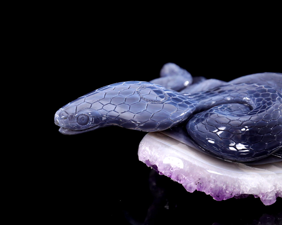 Amethyst Serpent Heart Geode