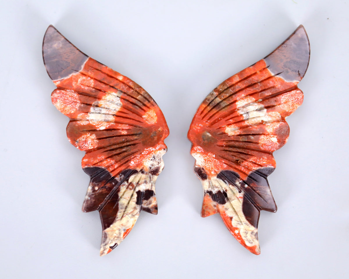 Coin Agate Butterfly Wings