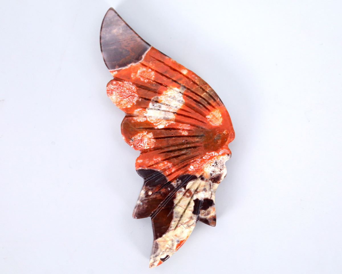 Coin Agate Butterfly Wings