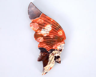 Coin Agate Butterfly Wings