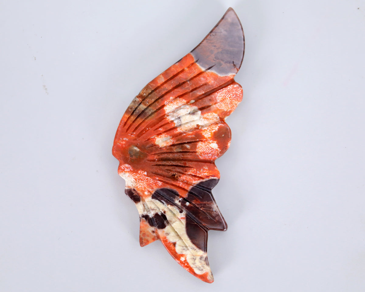 Coin Agate Butterfly Wings
