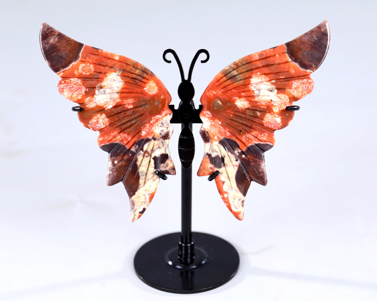 Coin Agate Butterfly Wings