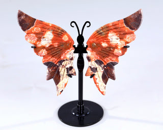 Coin Agate Butterfly Wings
