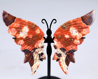 Coin Agate Butterfly Wings