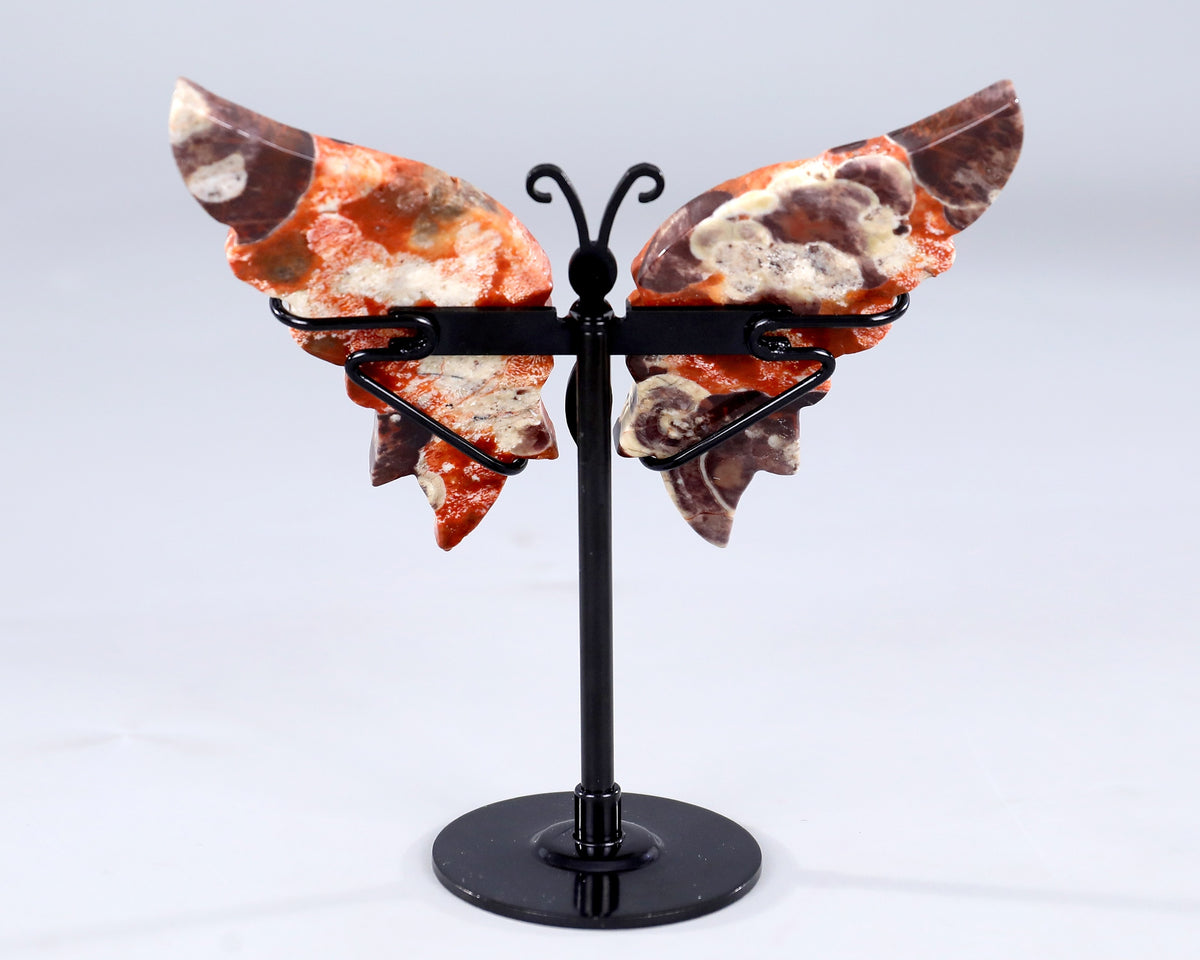 Coin Agate Butterfly Wings