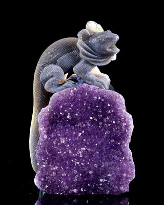 Amethyst Chameleon Geode
