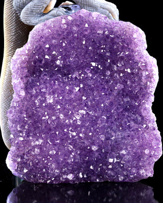 Amethyst Chameleon Geode