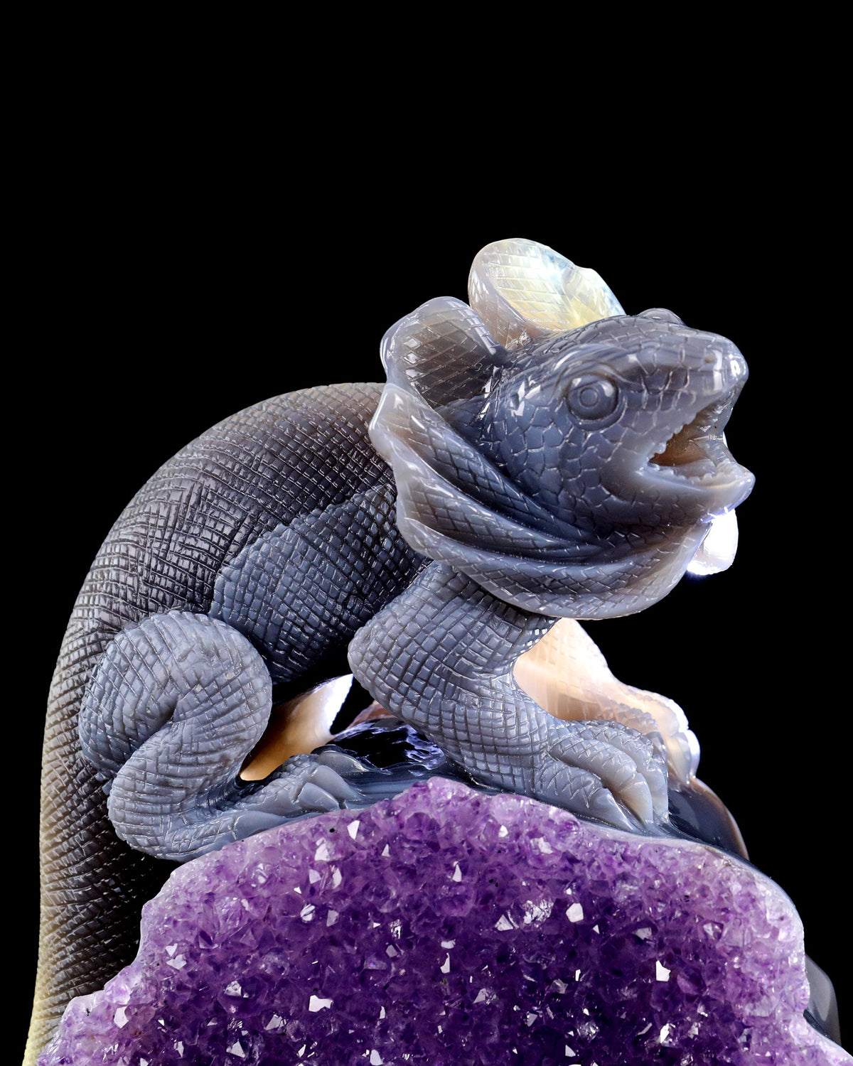 Amethyst Chameleon Geode