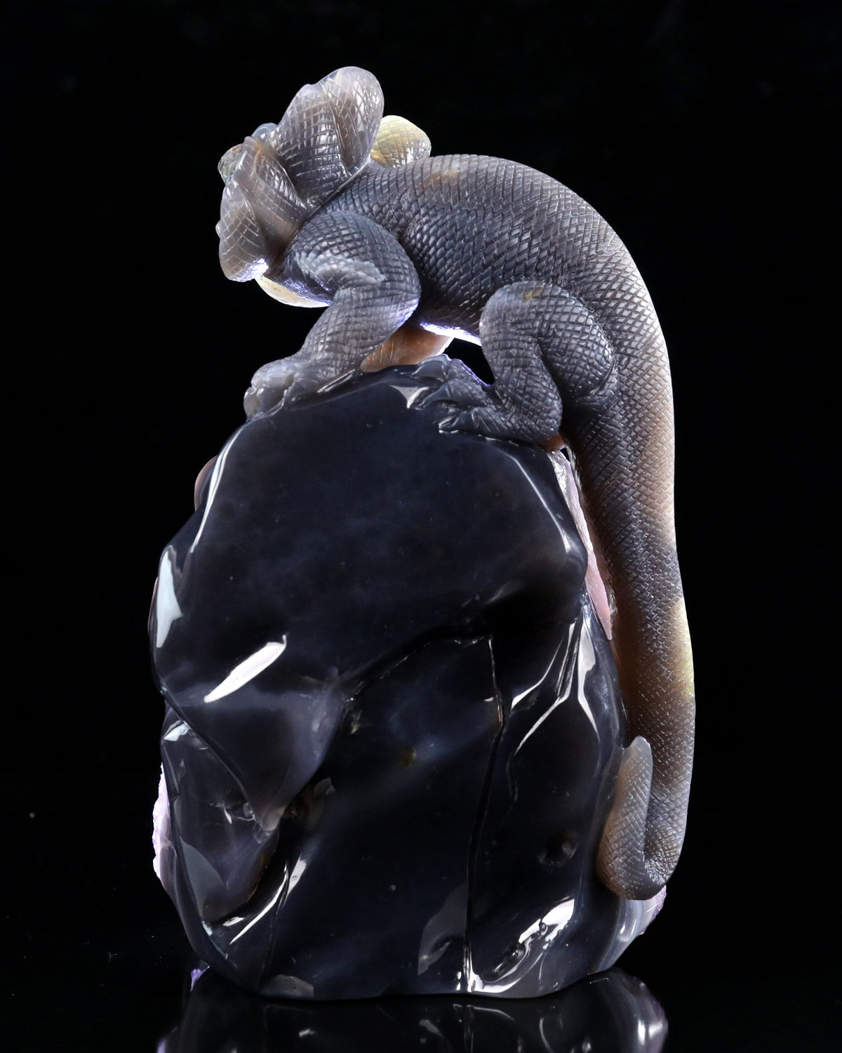 Amethyst Chameleon Geode