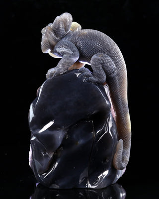 Amethyst Chameleon Geode