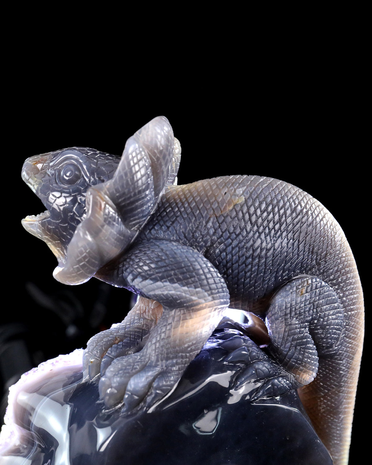 Amethyst Chameleon Geode