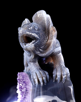 Amethyst Chameleon Geode