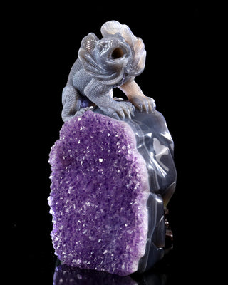 Amethyst Chameleon Geode