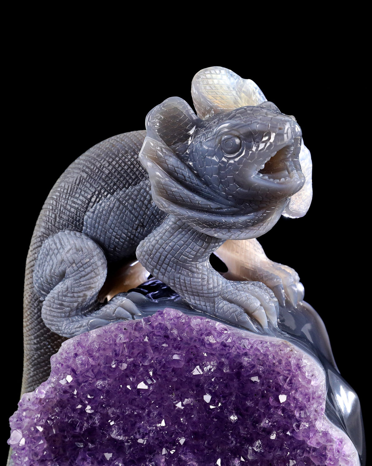 Amethyst Chameleon Geode