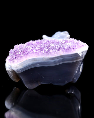 Amethyst Chameleon Geode
