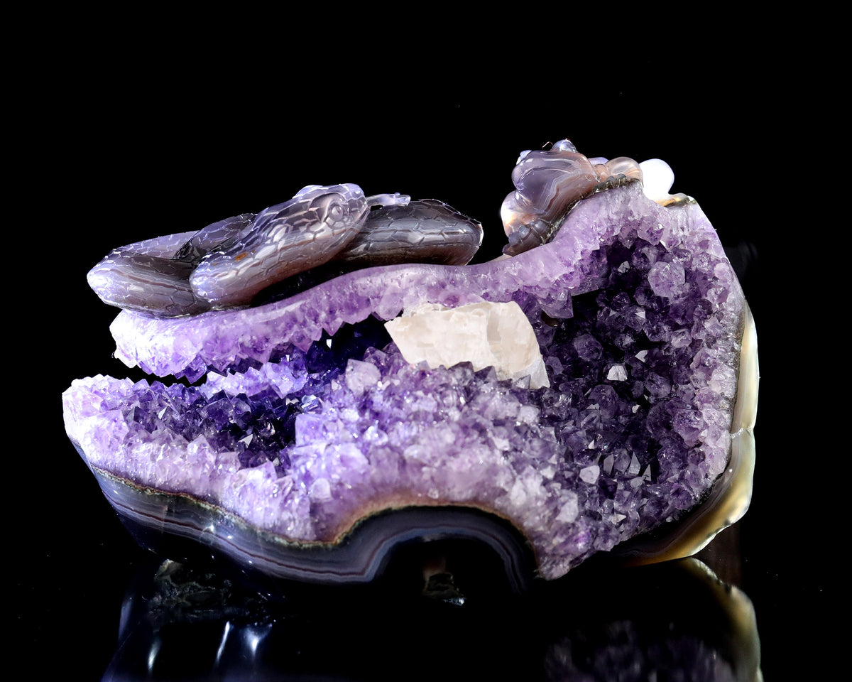 Amethyst Serpent & Toad Geode