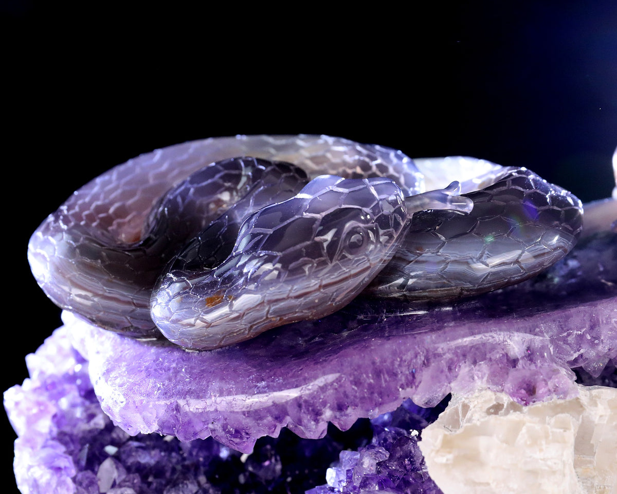 Amethyst Serpent & Toad Geode