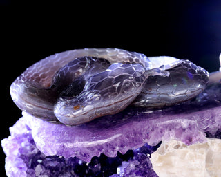 Amethyst Serpent & Toad Geode
